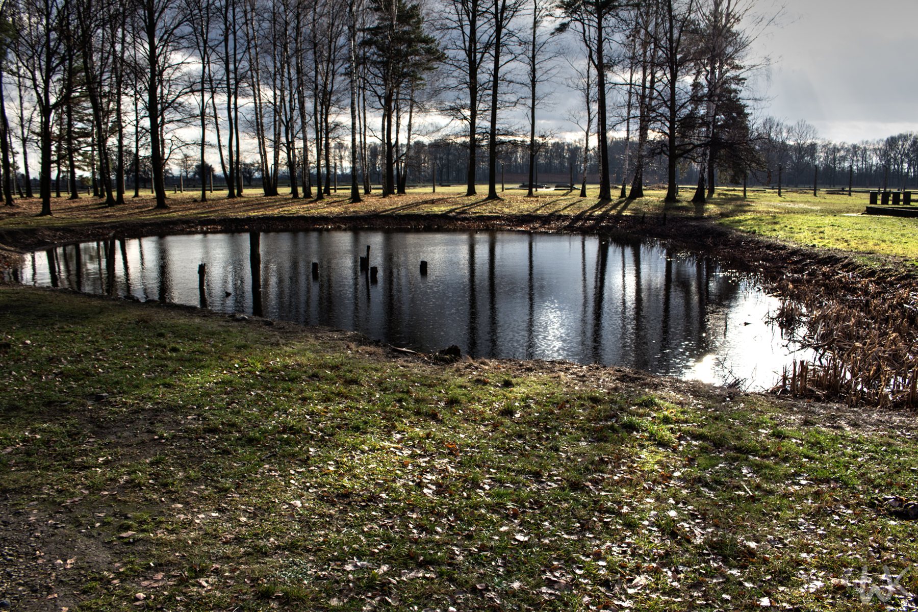 IMG 7975 tonemapped