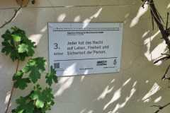 IMG-20250616-WA0008